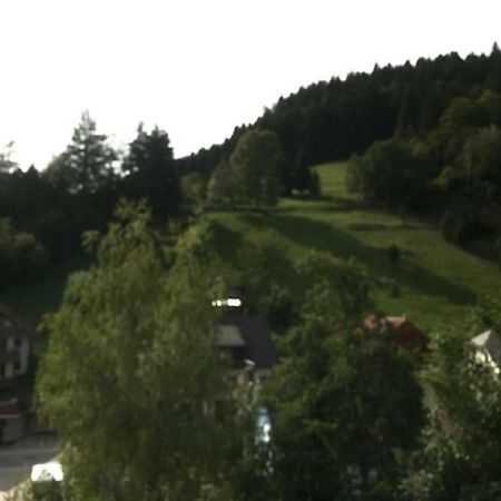 Fewo Mit Pool Haus Enere Au 托特莫斯 外观 照片