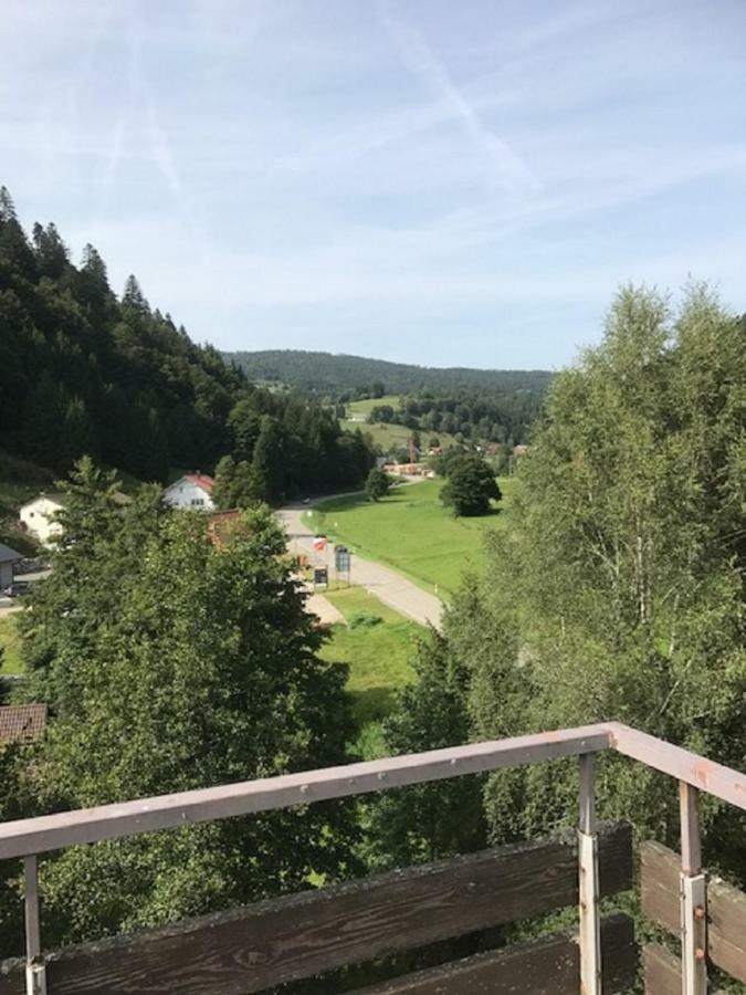Fewo Mit Pool Haus Enere Au 托特莫斯 外观 照片
